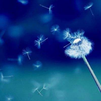 ROR体育官网登录入口手机app下载截图