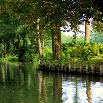 开云电竞手机app下载