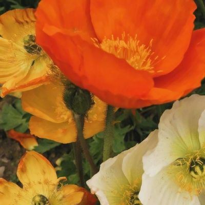 ag亚游APP登陆app下载截图