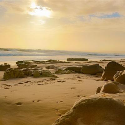 ag亚游APP登陆app下载截图