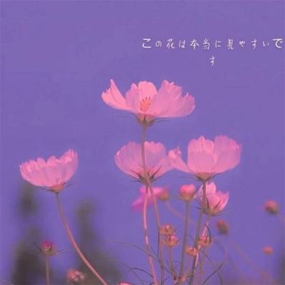 赢三张免费游戏app下载