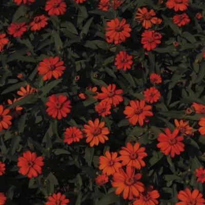 开元体育下载截图