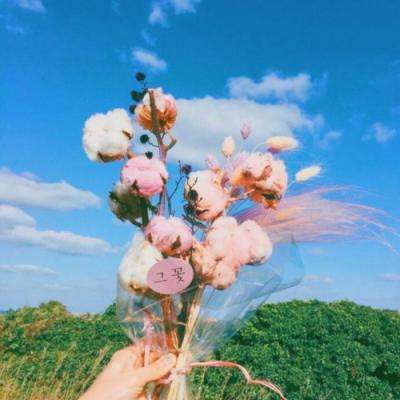 leyuapp下载官网下载