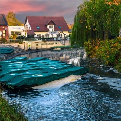 澳门正版资料大全下载手机版